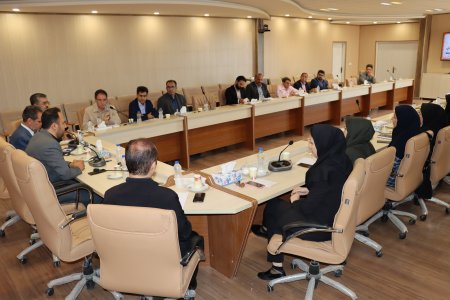 برگزاری نشست تخصصی کارشناسان مسئول توانبخشی با مدیرکل بهزیستی استان